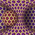 Image-1.webp