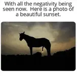 sunset.webp