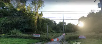000ddd.webp