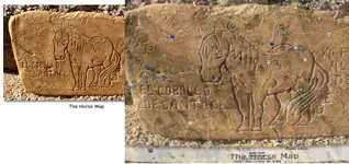 horse map NM AZ.webp