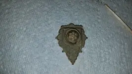 20201213_173628.webp