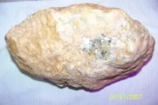 100_1827.webp