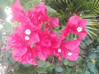 20210212_174559.webp