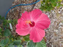 20210212_174444.webp