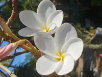 20201128_131912_HDR.webp