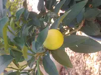 20201128_131812.webp