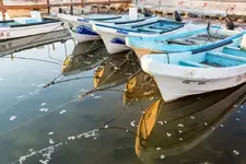 rio-lagartos-mexico-february-reflection-row-port-mexico-february-90750529.webp