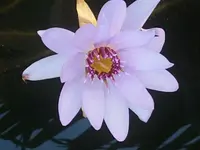 20201126_083953.webp
