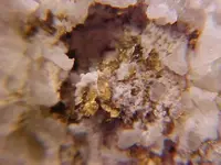 gold feild mine.webp gold feild mine.webp