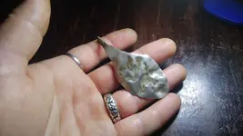 20201213_194058.webp