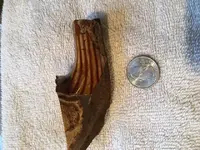 old pipe 2.webp