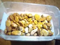 IMG_20201225_234712.webp