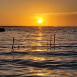 20201224_174136.webp