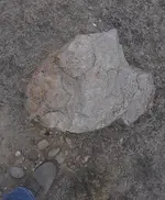 20181110_161035.webp