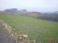 BM 063.webp