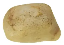 2021_c.webp