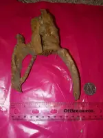 20210131_131041.webp