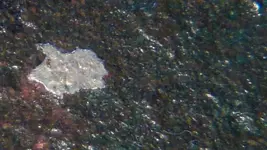 CopperChunkShortH2O2Soak-BackWhiteMetal1Close.webp
