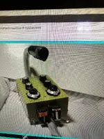 sking2.webp