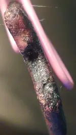 CopperChunkLongH2O2Soak-Edge5.webp