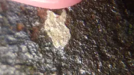 CopperChunkLongH2O2Soak-BackWhiteMetal3Close.webp