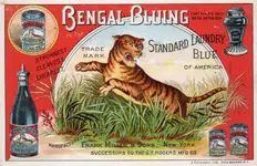 Bengal.webp