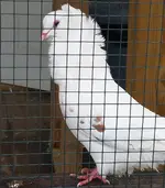 20201214_030256.webp