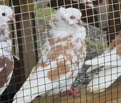20201214_030227.webp