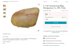 putty_feb_20_2021_lot57.webp