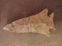 20201226_183534.webp