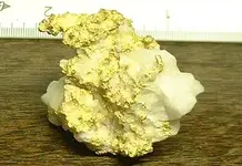 Gold 006 (2).webp