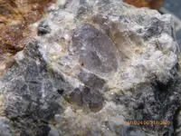 P1020046 (1).webp