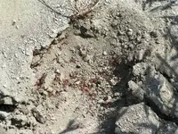 lambcynredants.webp