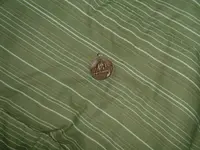 DSCF0033.webp