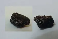 SILVERSPECIMEN1.webp
