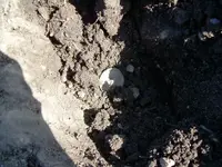 Field finds 4-22-08 010.webp