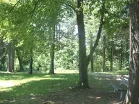 Picture 011.webp Picture 011.webp