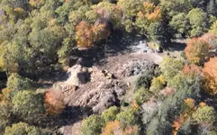 oak dump 2.webp