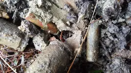 20210131_141018.webp