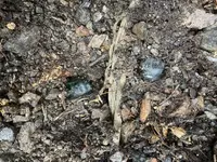 thumbnail_IMG_7884.webp