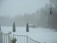 DSCF0002.webp