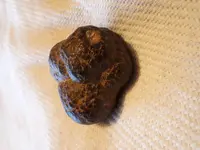 20210131_200234.webp