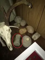 bell pestle.webp