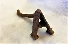 branding iron.webp