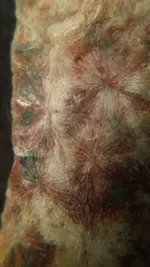 Number1-SideA-Close-Multicolor1.webp