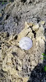 20210221_110318.webp