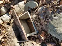 20201227_130305.webp