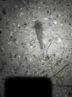 20201213_194254.webp