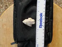 DSCN0029.webp