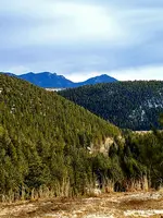 20210201_173211.webp